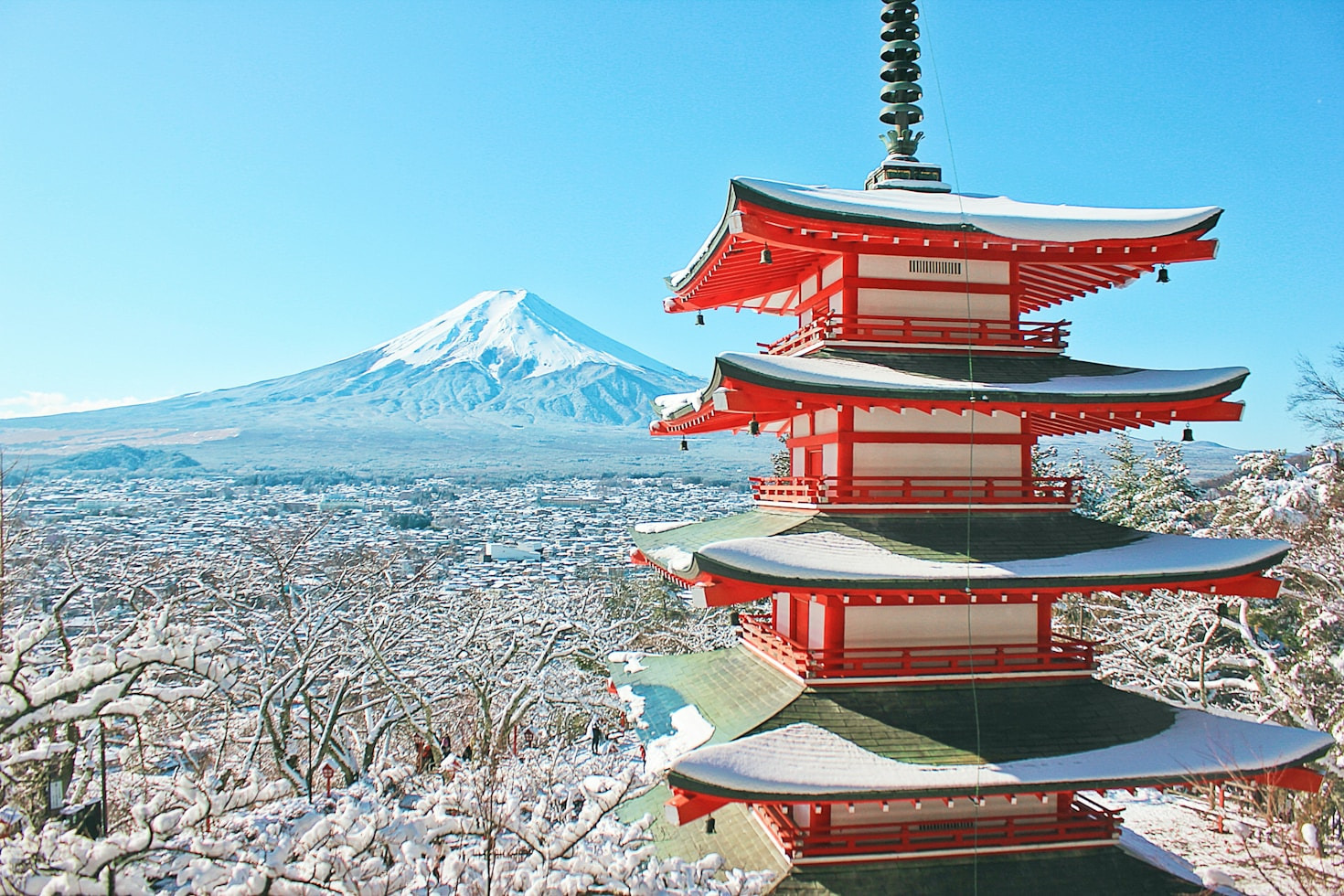The Benefits of Using JESTA Japan for Your Travel Needs